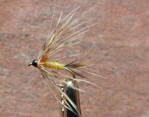 orange and green _wet 0021.JPG