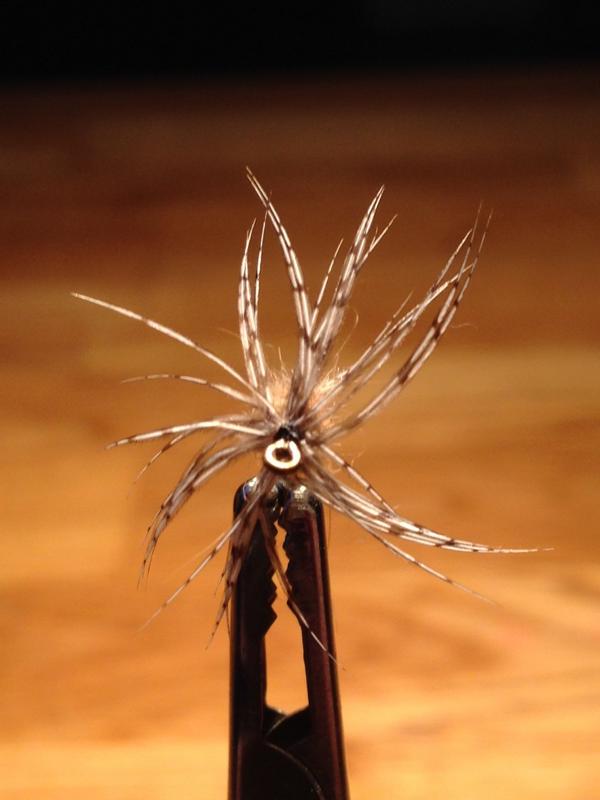 FullSizeRender (1).JPG