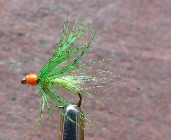 Green Hornet 0021.JPG