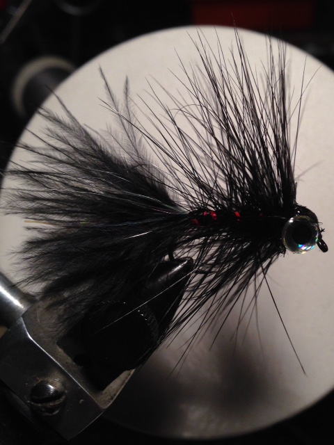 FullSizeRender (3).jpg