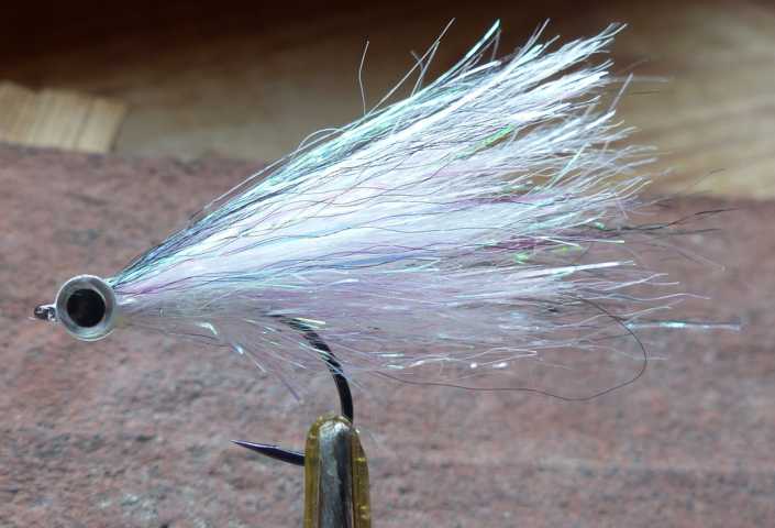 Rapfenstreamer 0031.JPG