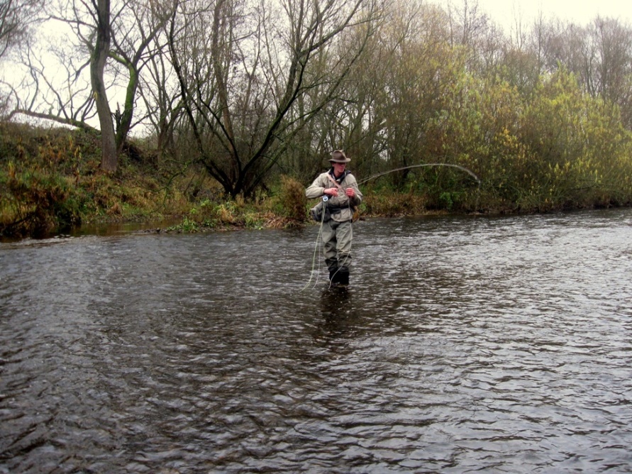 An Deinem Fluss 2012 (1).JPG