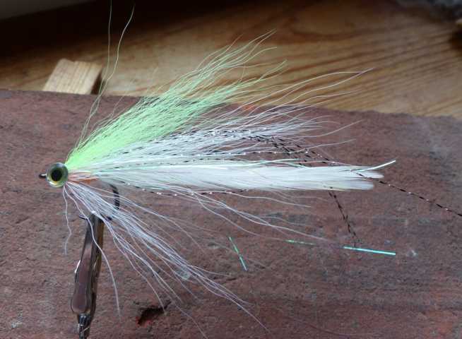 Bucktail-Hechtstreamer 0031.JPG