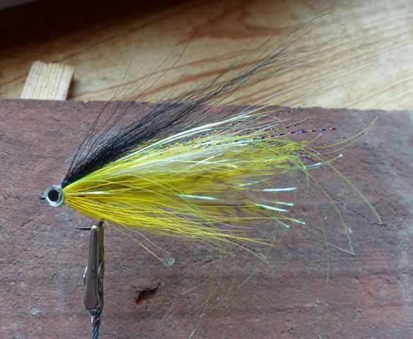 Bucktail-Hechtstreamer 0111.JPG