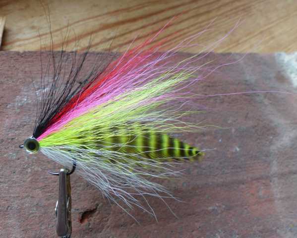 Bucktail-Hechtstreamer 0181.JPG