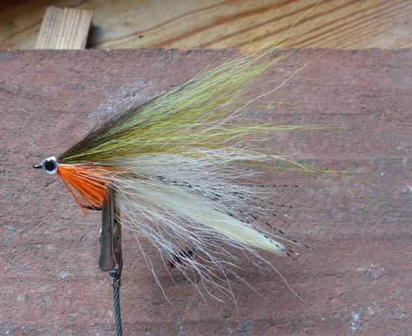 Bucktail-Hechtstreamer 0281.JPG