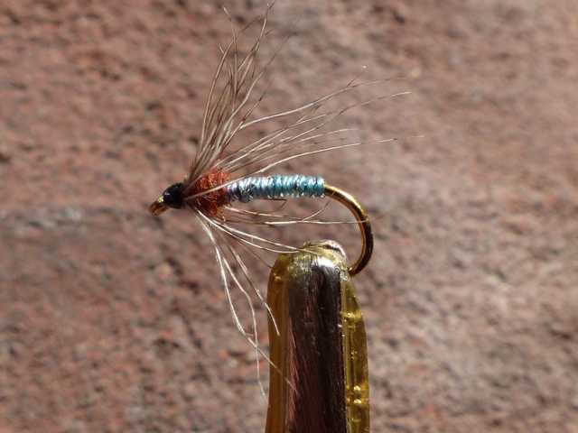 partridge and blue 0101.JPG