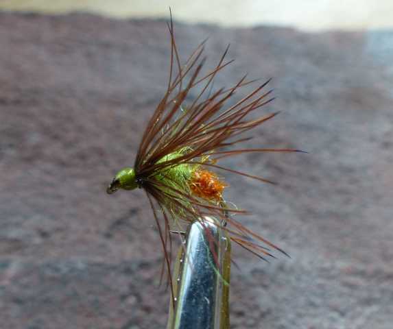 orange_hot_butt wet 0011.JPG