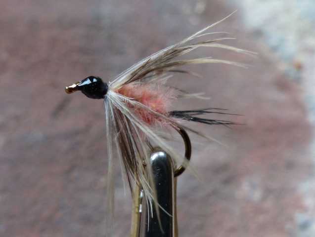 Ducky Hackle 0011.JPG