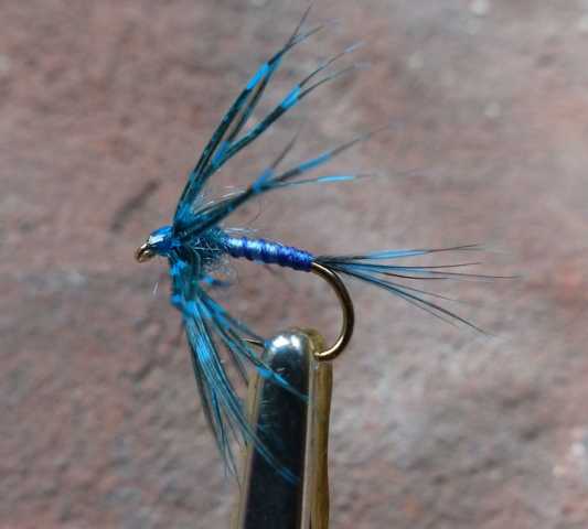 Blue Wet 0021.JPG