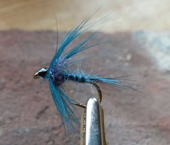 ICE Blue Wet 0021.JPG