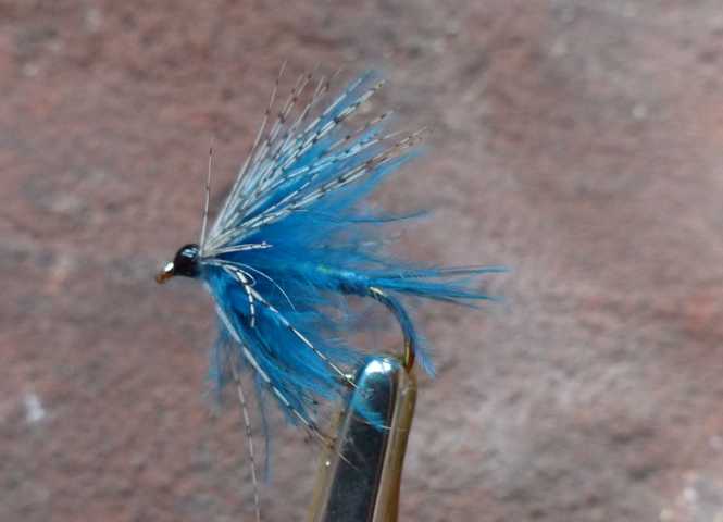 Blue Fluff-Wet 0041.JPG