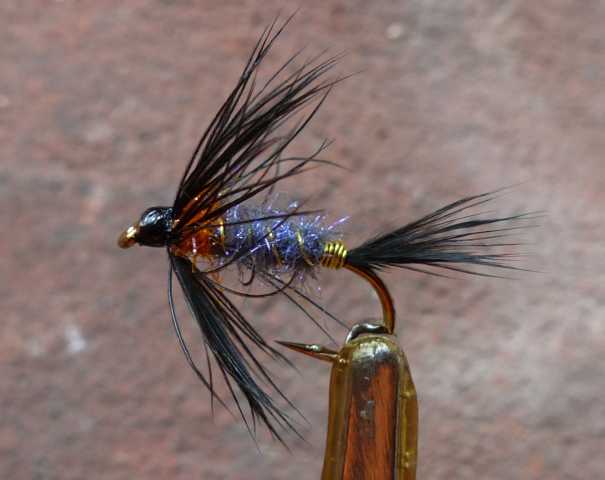 Midnight Blue 0041.JPG