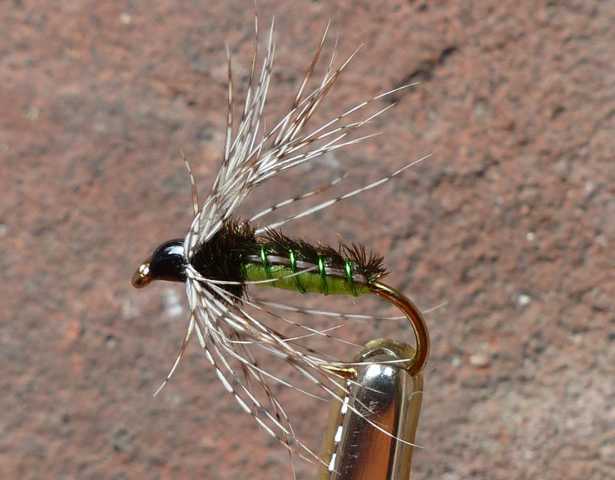 Peacock&Partridge Hackle 0021.JPG