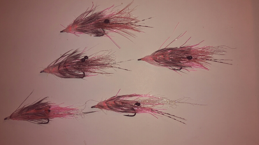 2015-09-29 20.29.14.jpg