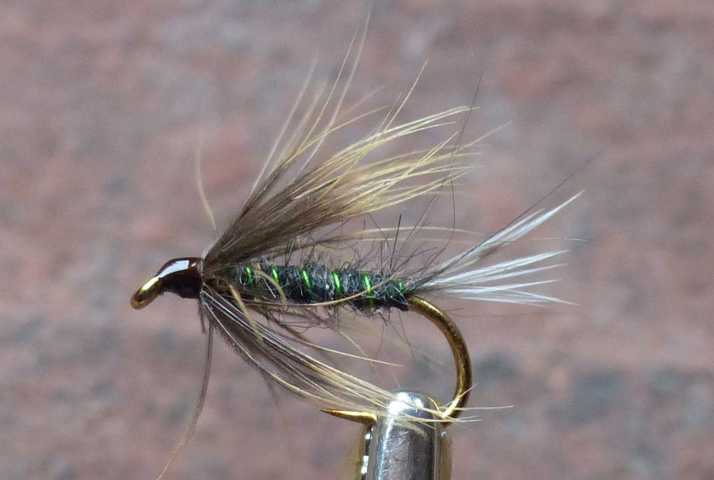 Wiwie-Wet Fly 0041.JPG
