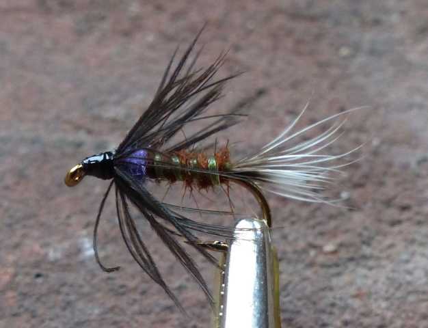 Icelandic Sheep Hair 0071.JPG