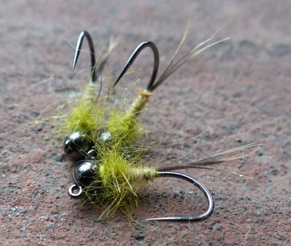 Nymphen 1 0101.JPG