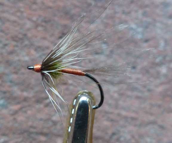 CDC Spider 0021.JPG
