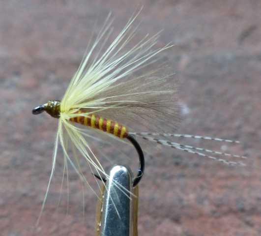 BZ CDC Wet #1 0031.JPG
