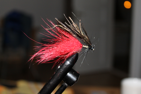IMG_5171.png