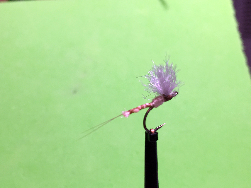 Foto 18.11.15 20 50 14_kl.jpg