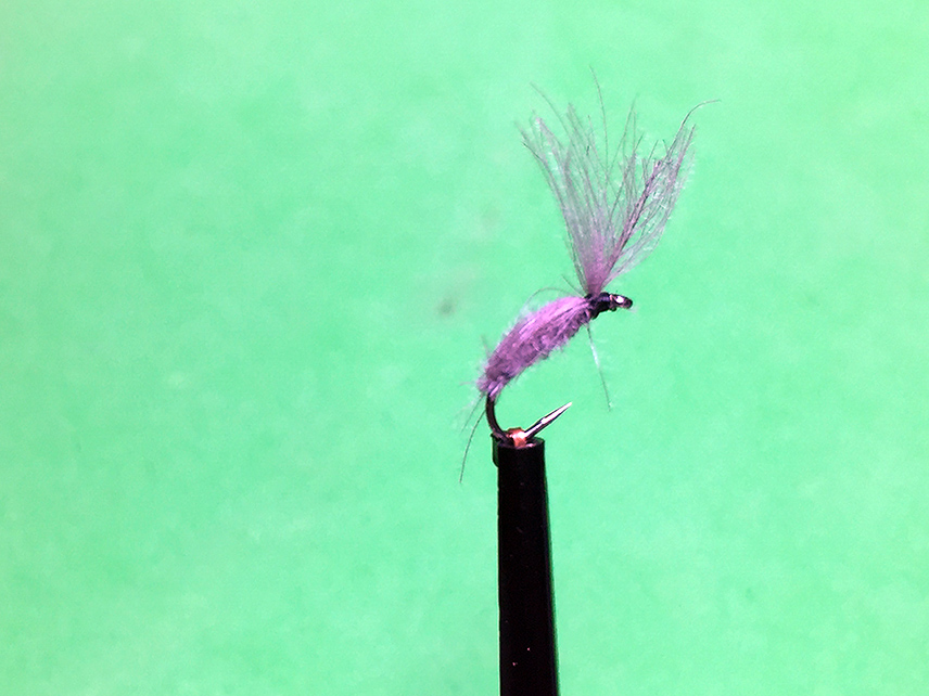 Foto 18.11.15 20 53 27_kl.jpg