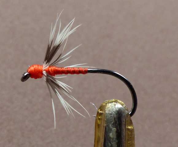 Minimalistische Fliegen 0201.JPG