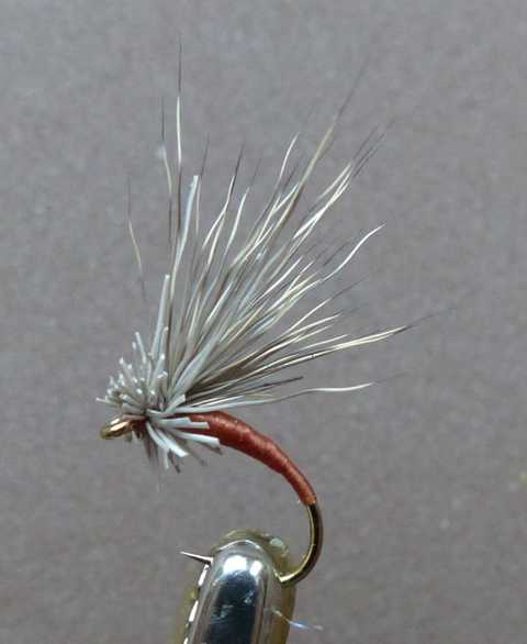 Minimalistische Fliegen 0111.JPG