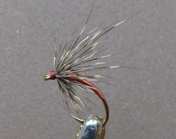 Minimalistische Fliegen 0131.JPG