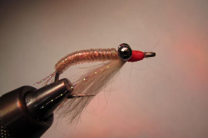 Crazy Charly mit etwas längerem Körper und Icelandic Sheep als Schwinge- und einer pinkfarbenen Nase als Farbtupfer......