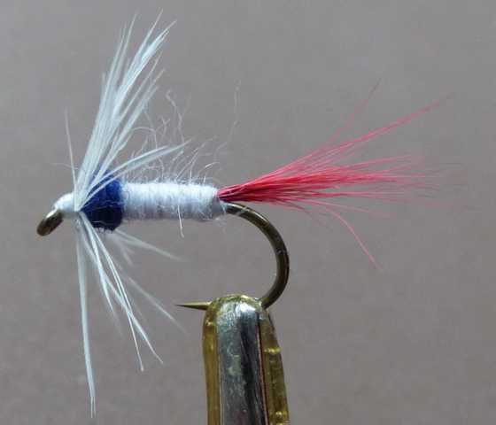 Tricolore Wet 0031.JPG