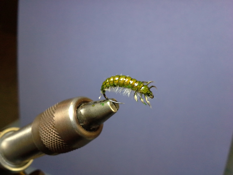 Handschuh Caddis #12
