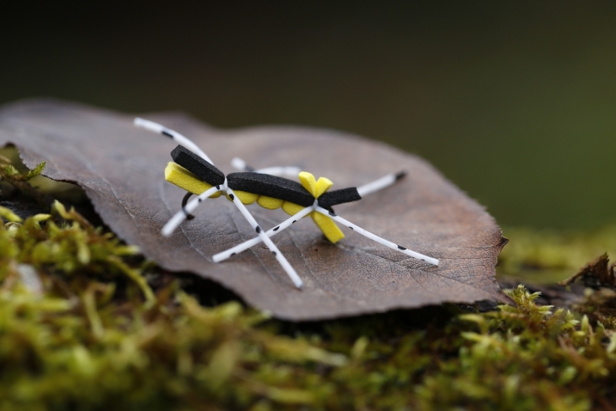 Tschernobyl Ant.jpg