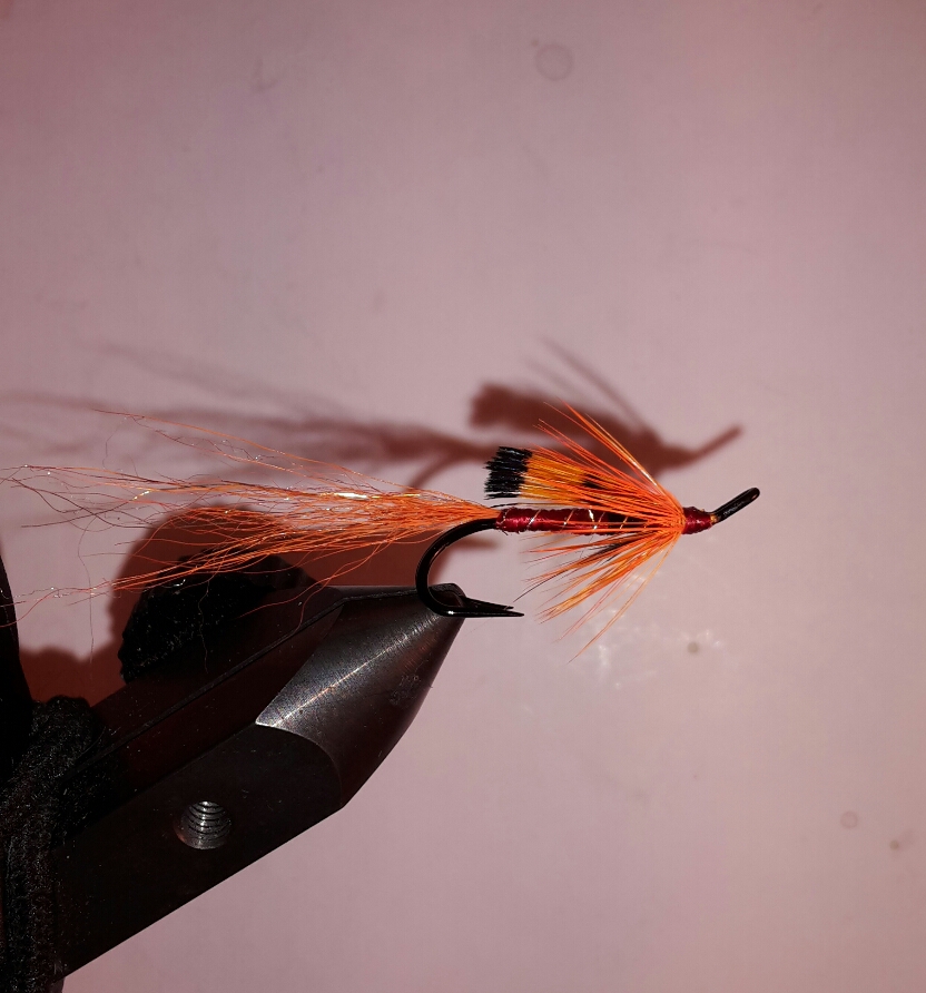 2016-01-06 21.14.26.jpg