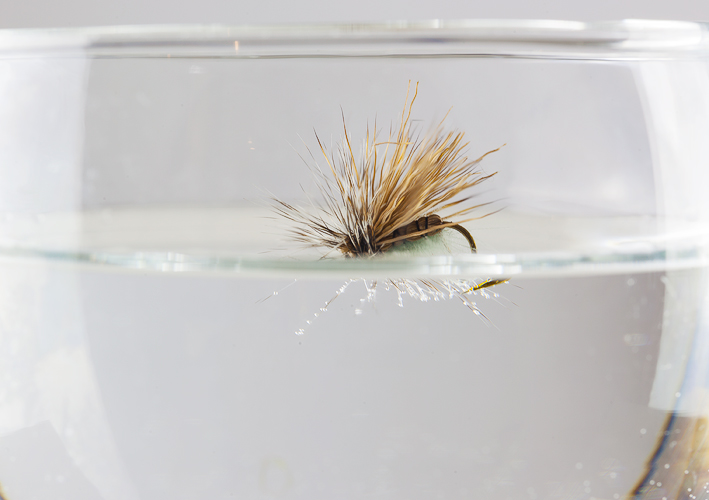 Sedge Reehaar CDC Mix2.jpg