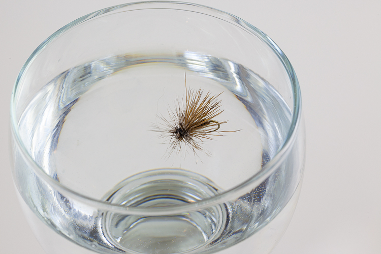 Sedge Reehaar CDC Mix.jpg