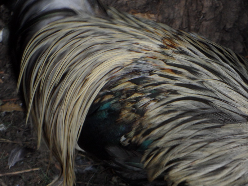 So sieht er aus. Kai -Uwe heißt er.