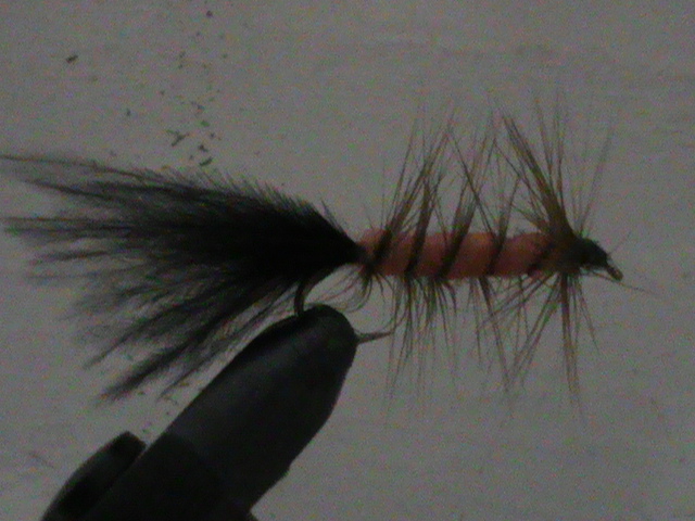 Wooly Bugger Variante