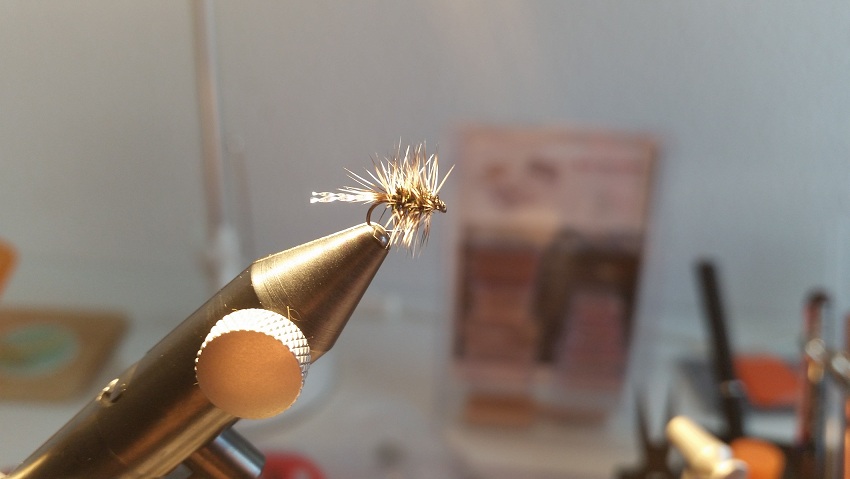 Griffith's Gnat Pearl.jpg