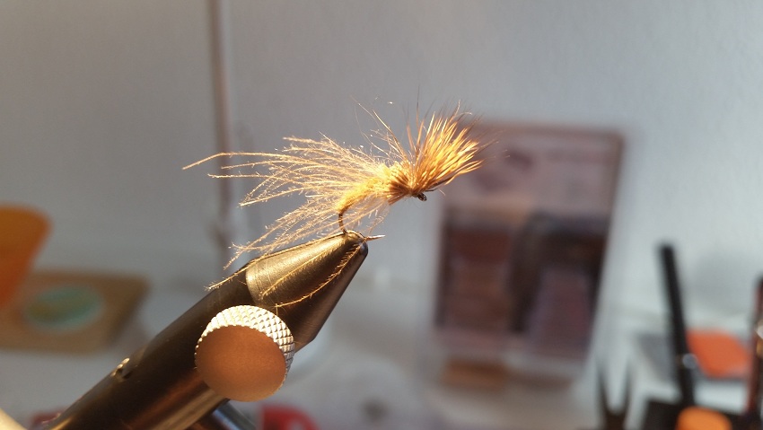 Crippled CDC Elk.jpg