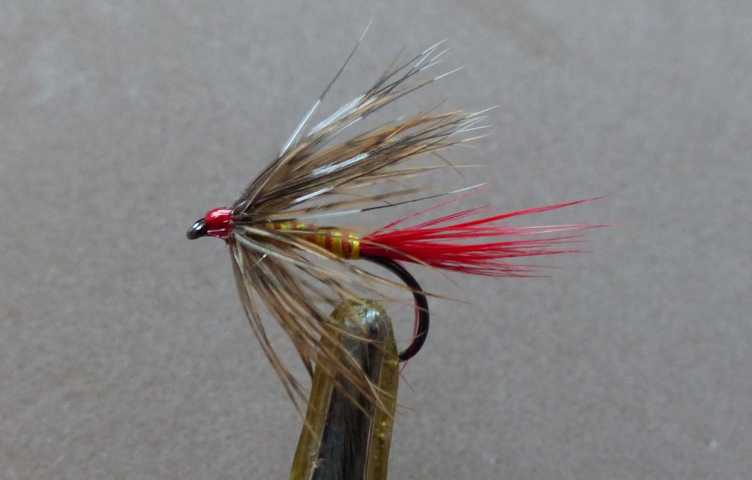 Wet Fly # 0041.JPG