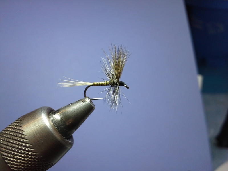 Catskill Dry #14