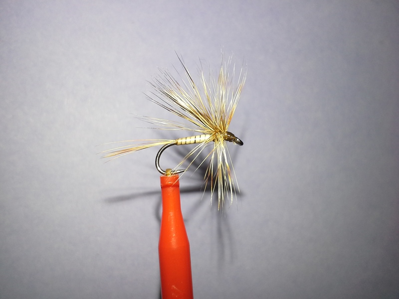 DHD#14