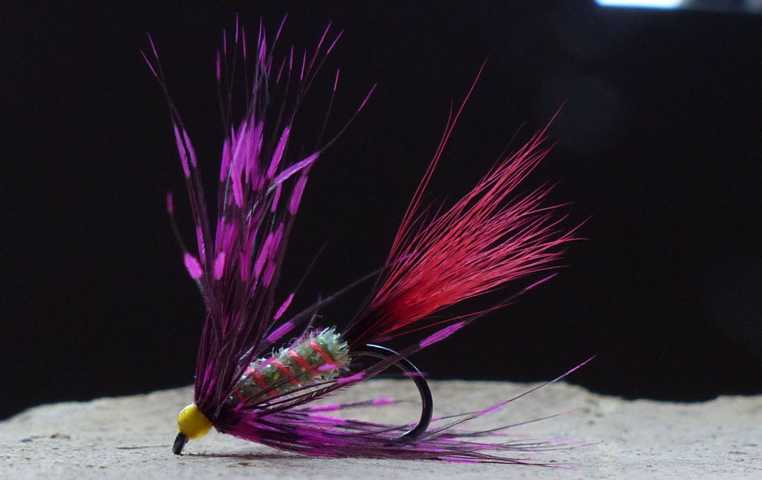 Wet Fly Variationen 0151.JPG
