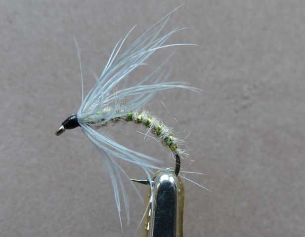 Wet Fly Variationen 0171.JPG