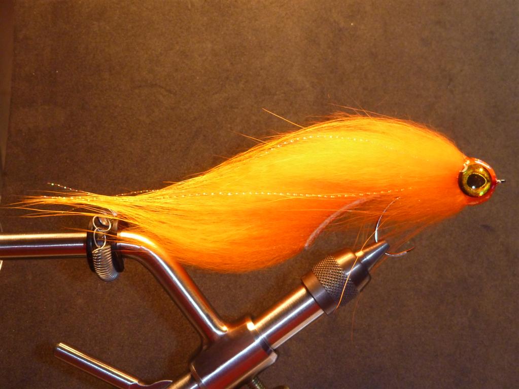 P1030906 (Mittel).JPG