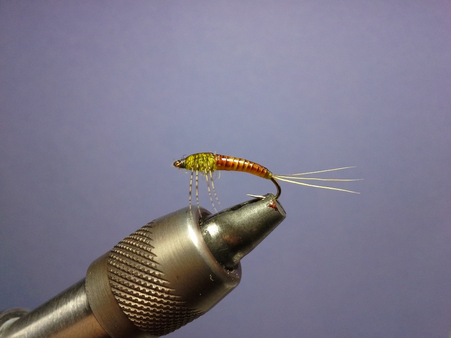 Baetis Nymph #14