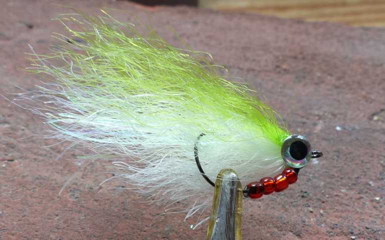 Streamer Variationen 0021.JPG