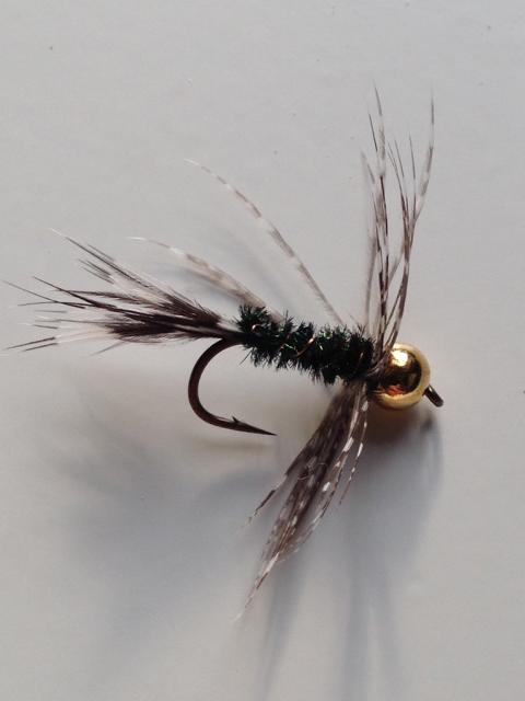 Perlhuhn-Strauss 1.JPG